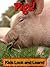Pigs! Learn About Pigs and Enjoy Colorful Pictures - Look and Learn! (50+ Photos of Pigs)