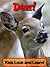 Deer! Learn About Deer and Enjoy Colorful Pictures - Look and Learn! (50+ Photos of Deer)