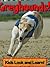 Greyhounds! Learn About Greyhounds and Enjoy Colorful Pictures - Look and Learn! (50+ Photos of Greyhounds)