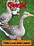 Geese! Learn About Geese and Enjoy Colorful Pictures - Look and Learn! (50+ Photos of Geese)