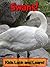 Swans! Learn About Swans and Enjoy Colorful Pictures - Look and Learn! (50+ Photos of Swans)