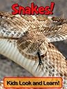Snakes! Learn About Snakes and Enjoy Colorful Pictures - Look and Learn! (50+ Photos of Snakes)