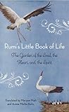 Rumi's Little Boo...