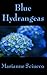 Blue Hydrangeas