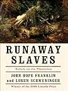 Book cover for Runaway Slaves: Rebels on the Plantation
