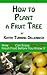 How to Plant a Fruit Tree: How You Can Enjoy Your Own Fresh Fruit Before You Know It