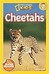 Cheetahs