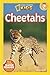 Cheetahs