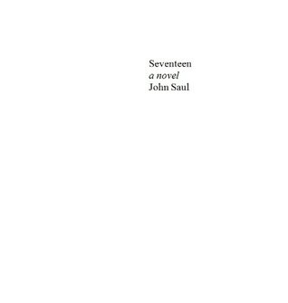 Seventeen (Kindle Edition)