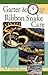 Quick & Easy Garter & Ribbon Snake Care