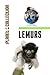 Lemurs: Picture Book (Educational Children's Books Collection) - Level 2 (Planet Collection 51)