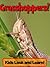 Grasshoppers! Learn About Grasshoppers and Enjoy Colorful Pictures - Look and Learn! (50+ Photos of Grasshoppers)