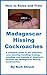 How to Raise and Train Madagascar Hissing Cockroaches