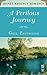 A Perilous Journey by Gail Eastwood