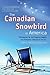 The Canadian Snowbird in America: Professional Tax and Financial Insights into a Temporary U.S. Lifestyle