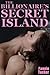 The Billionaire's Secret Island