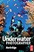 The Underwater Photographer