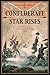 Confederate Star Rises by Richard Small