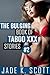 The Bulging Book of Taboo XXX Stories 2 (Bulging Books of Taboo XXX Stories, #2)