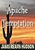 Apache Temptataion (Apaches/Colton Series Book 3)
