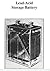 Lead-Acid Storage Battery