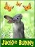 Jackie Bunny - Toddler Pict...