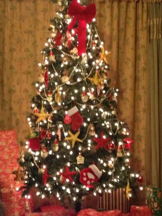 Two Christmas Miracles (Holiday Series)