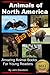 Animals of North America For Kids - Amazing Animal Books for Young Readers
