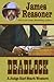 Deadlock (A Judge Earl Stark Western Book 5)