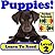 Children's Book: "Puppies! Learn About Puppies While Learning To Read - Puppy Photos And Facts Make It Easy!"