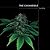 The Cannabible by Jason King The Cannabible by Jason King