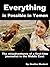 Everything Is Possible in Yemen by Heather Murdock