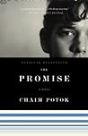 Book cover for The Promise