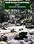 Small Stream Trout Fishing (CyberGuide Book 1)