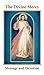 The Divine Mercy Message and Devotion by Seraphim Michalenko