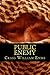 Public Enemy (John Smith Book 2)