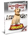 How to Breed your Labrador Responsibly
