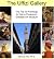 The Uffizi Gallery: The Top...
