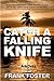 Catch a Falling Knife by Frank Foster