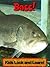 Bass! Learn About Bass and Enjoy Colorful Pictures - Look and Learn! (50+ Photos of Bass)