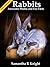 Rabbits: Awesome Photos and Fun Facts (A Little Intro to Animals and Nature Series Book 1)
