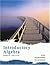 Introductory Algebra (Lial Developmental Mathematics Paperback)