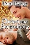 Christmas Serendipity by Liam Livings