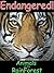 Endangered Animals Of The Rain Forest-A Picture Book For Ages (4-6) (Endangered Animals of the World 1)