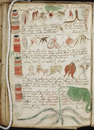 The Complete Voynich Manuscript