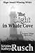 The Light in Whale Cove