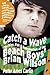 Catch a Wave: The Rise, Fall, and Redemption of the Beach Boys' Brian Wilson