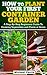 How To Plant Your First Container Gardening