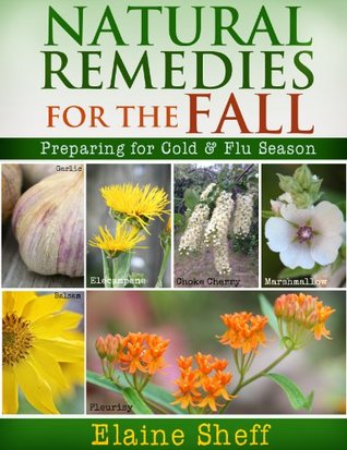Natural Remedies for the Fall: Preparing for Cold & Flu Season (Kindle Edition)