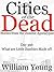 What are Little Zombies Made of? (Cities of the Dead)